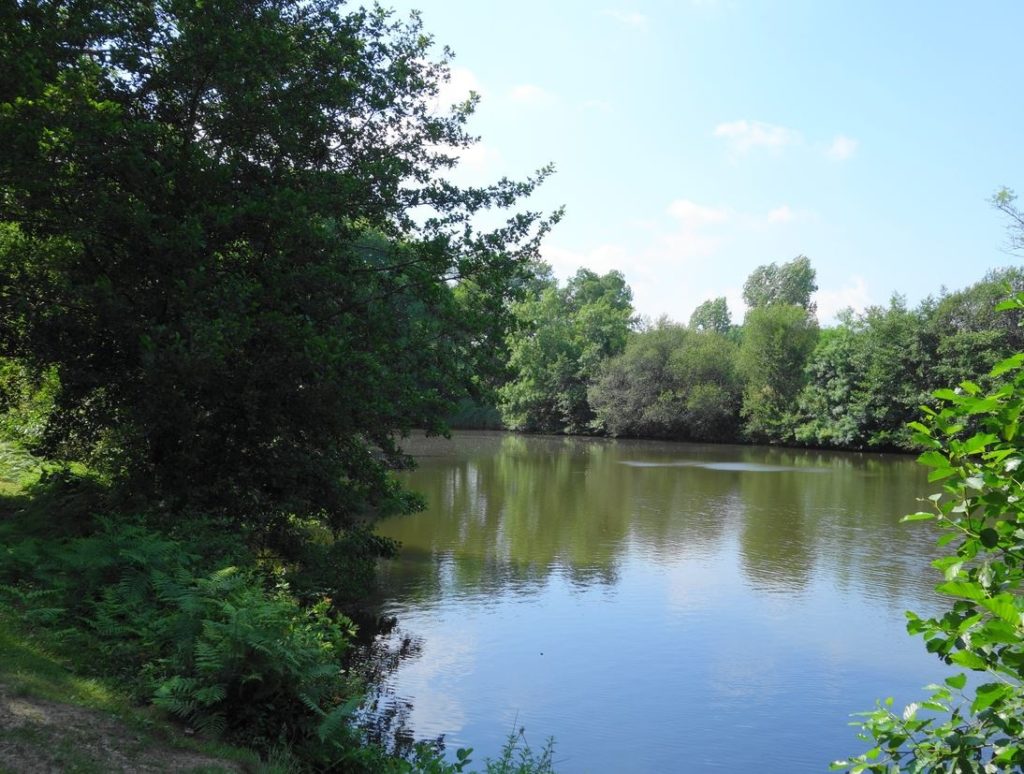 Résultat de recherche d'images pour "bois de boulogne lac"